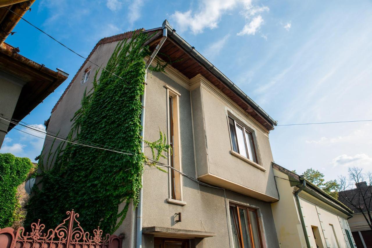 Bed&Wine In The Center Of Oradea Apartment Екстериор снимка